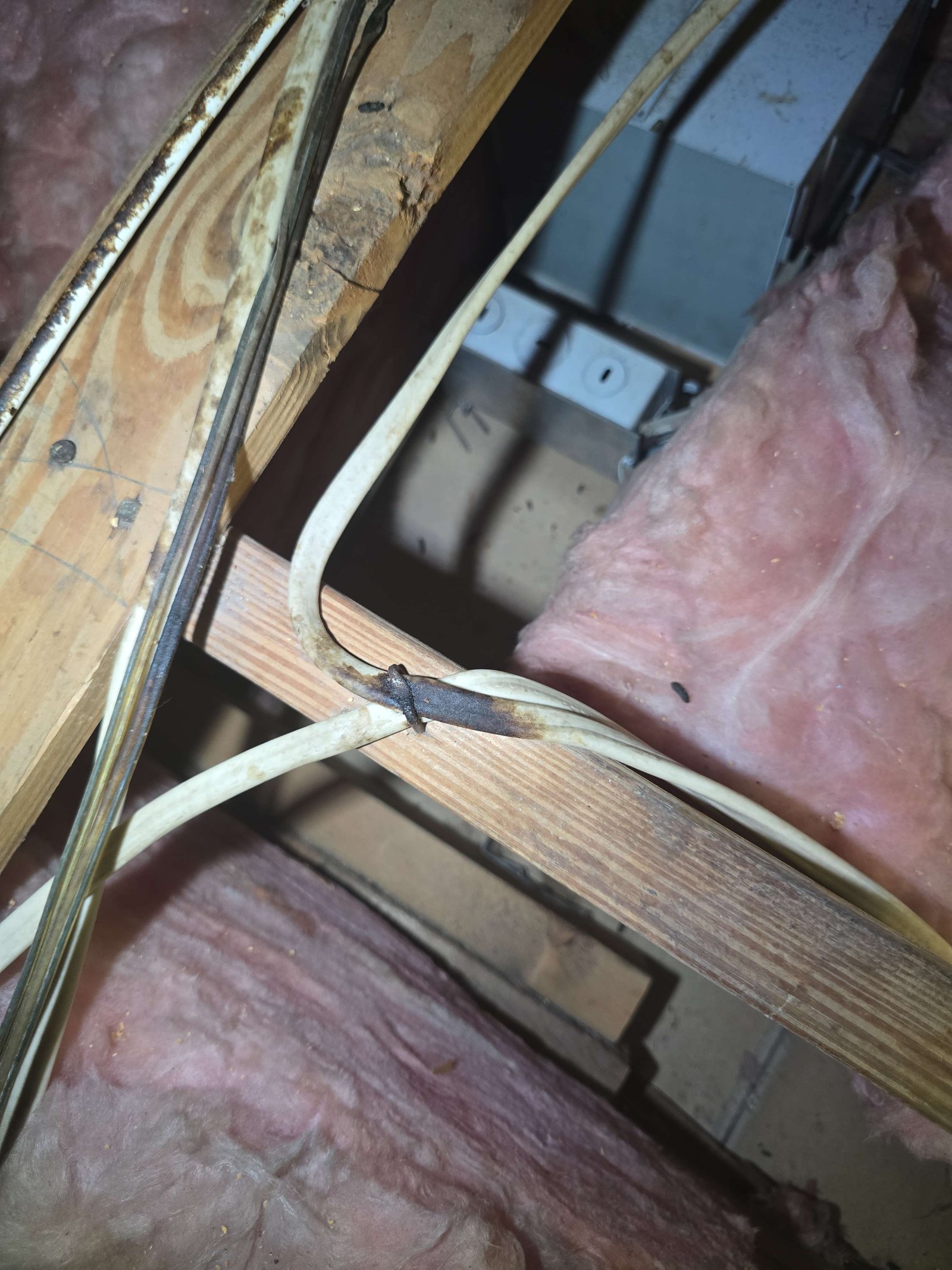 Scorched electrical cable found in an attic during a home inspection