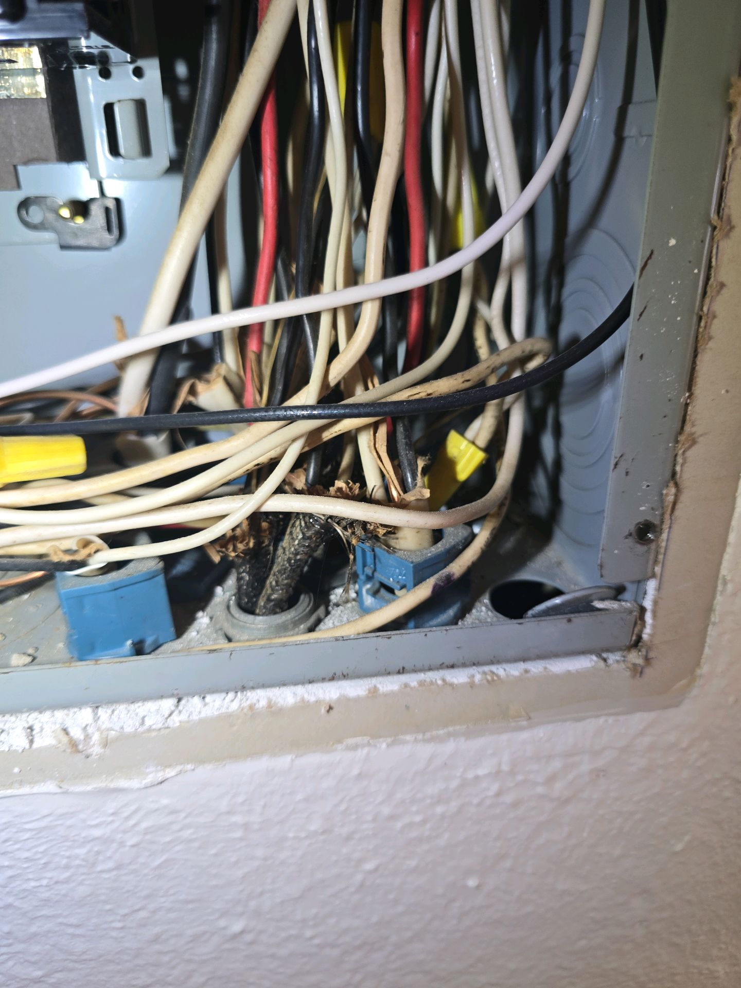 Cloth-braided branch wiring with copper conductors inside an electrical panel