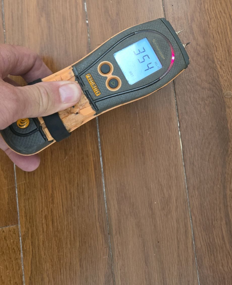 Moisture meter reading taken during a home inspection