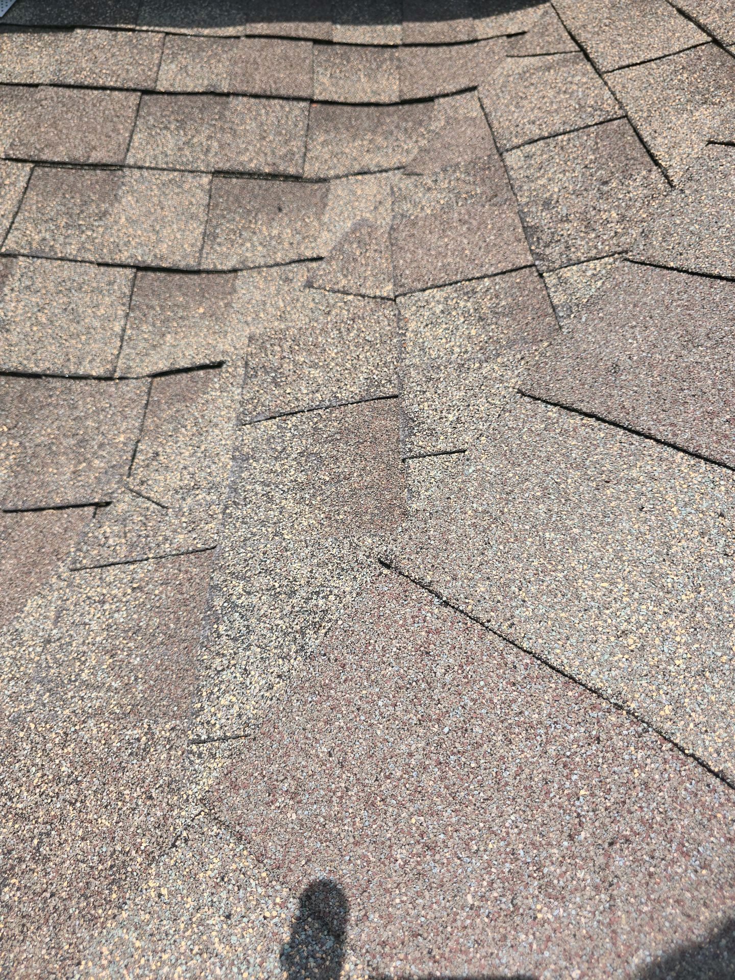 Architectural roof shingles showing premature aging