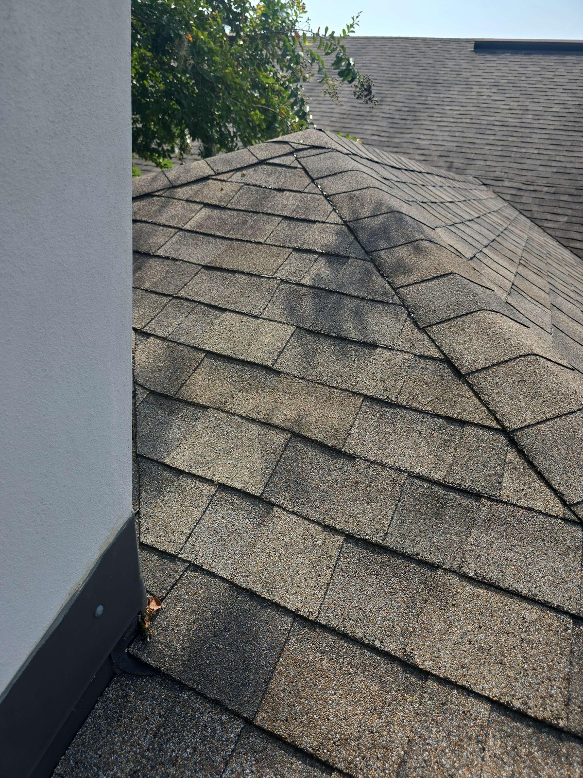 Close-up of architectural asphalt roof shingles with worn edges, missing surface granules, and visible fiberglass mesh exposed through the asphalt layer